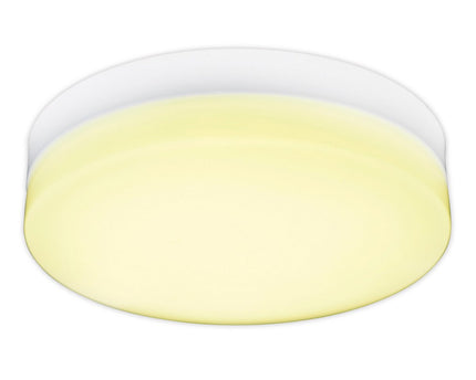 LED plafondlamp "Cool" d:25.5cm