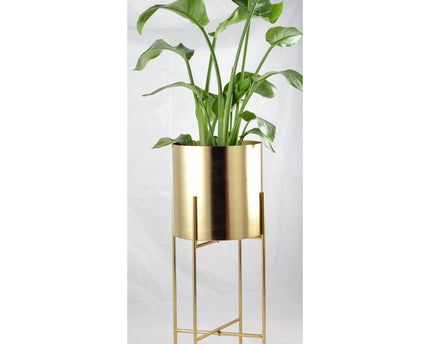Golden Jar Cover groot model 26x26x60cm