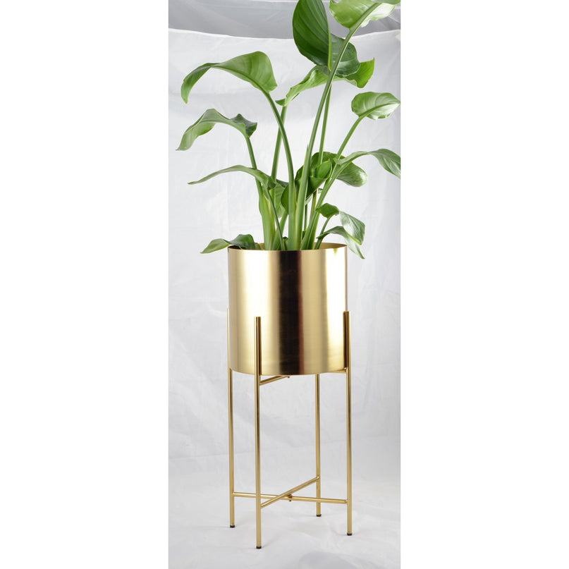 Golden Jar Cover groot model 26x26x60cm