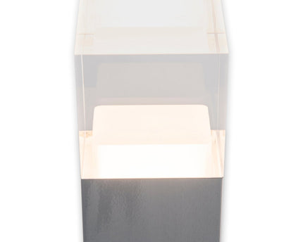 LED Outer Socket Light "Leah" gemaakt van metaal en plastic in stalen blanke, geïntegreerde LED, padlichten