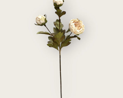 Herfstserie 3 Heads Peony Cream | Zijden kunstbloem | Lengte 53cm  1pcs