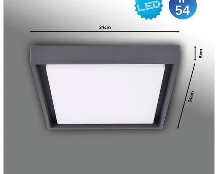 LED Buiten plafondlicht IP54 "MIO" S: 34 cm