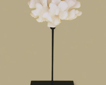Koraalcollectie met metalen standaard -L-maat: H29cm B15cm D15cm