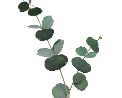 Decoratieve fleur groen blad donker H73cm