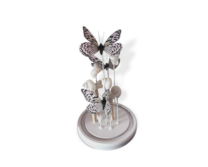 Parelmoeren Schelpen Vlinderdecoratie 14 *26cm （YF-10）