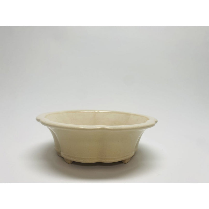 20 cm premium geglazuurde bonsaipot. Afmeting: L*20cm*20cm*10cm