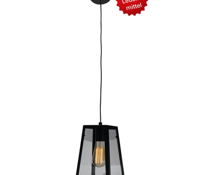 Metalen hanglamp "Alex"