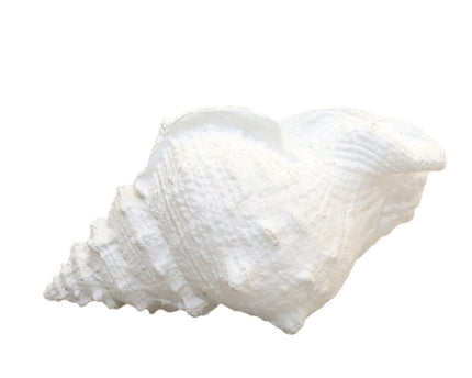 Decoratieve witte schaal 25x17x13cm
