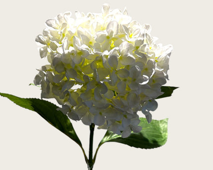 Kortstengelige frisse hortensia | Zijden kunstbloem | Lengte 47cm  1pcs