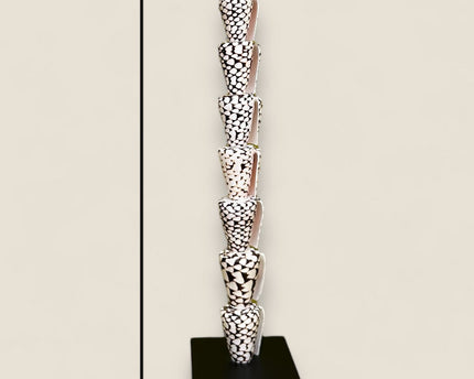 Papua Tiger shell on stand（7 shell)