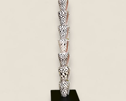 Papua Tiger shell on stand（7 shell)
