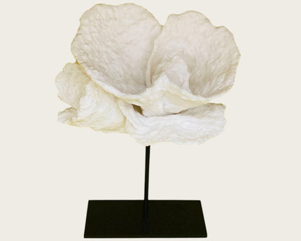 Koraal bloem