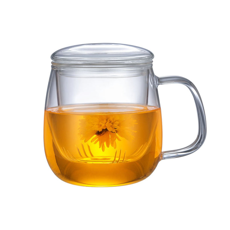 Glazen infusiemok met glazen filter 550 ml