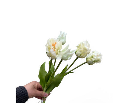 Artificial flowers  White tulips 5 pieces/set | Zijden kunstbloem | Lengte 35cm