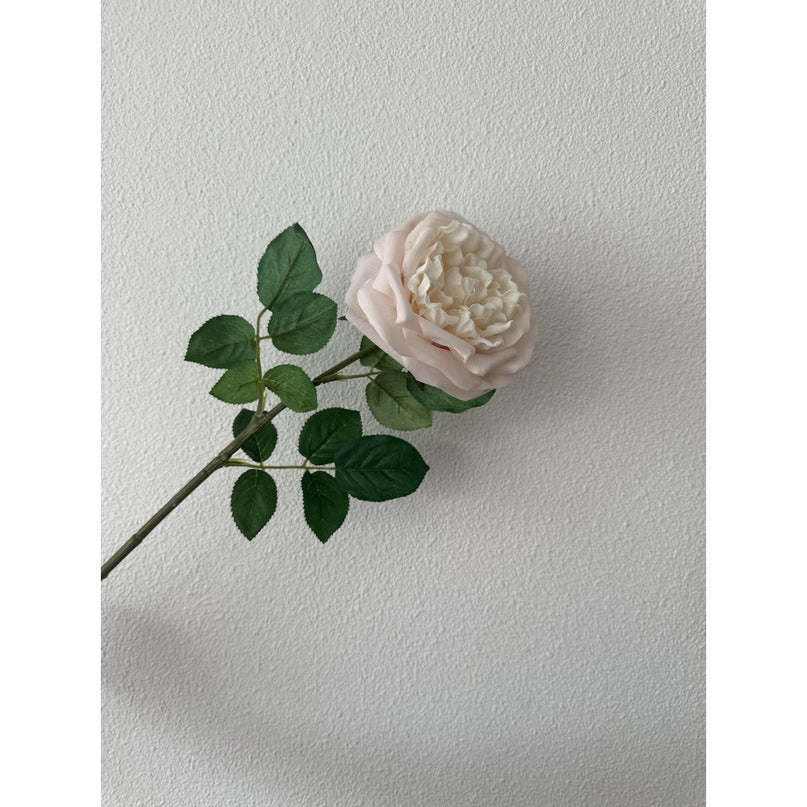 QMF Touch Rose 65cm Light pink 2PCS