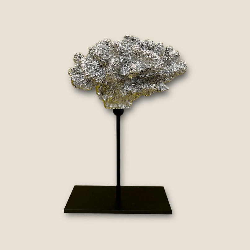 Coral collectie met metalen standaard ( champagnekleur)