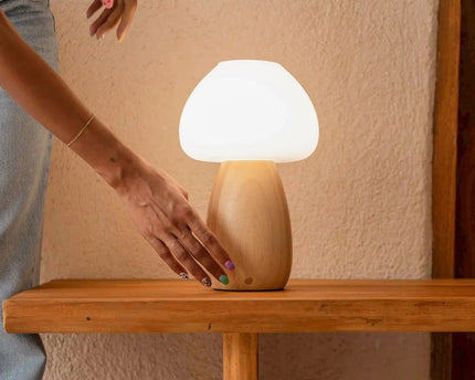 Beer lichtbruin stijlvol oplaadbare lamp-draadloos, dimbaar, milieuvriendelijk ontwerp
