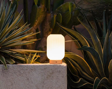 Unieke oplaadbare lamp Lilly – matglas en houten voet, dimbaar, 3 lichtmodi