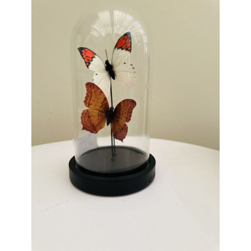 two vlinder 11 * 21cm (YF-08)