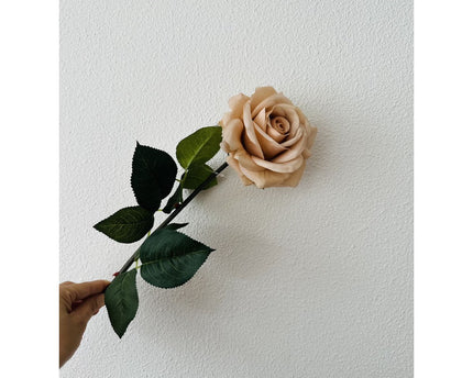 QMF Hand Touch Rose72cm Champagne 2PCS