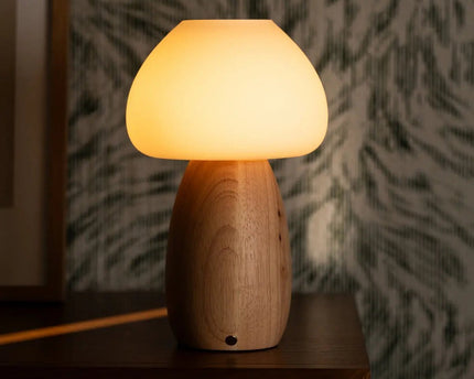 Beer lichtbruin stijlvol oplaadbare lamp-draadloos, dimbaar, milieuvriendelijk ontwerp
