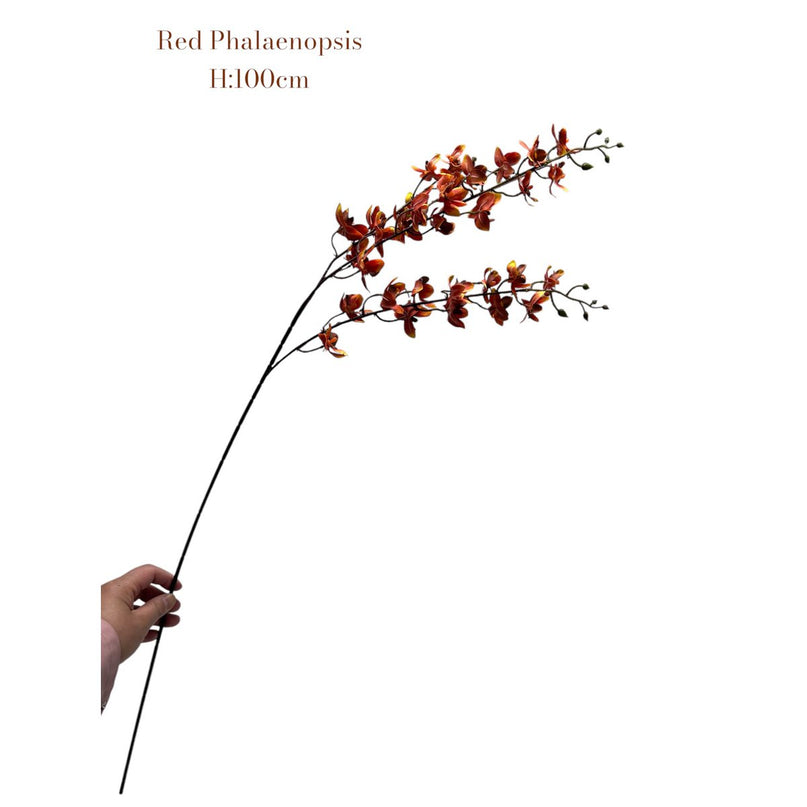 Red Phalaenopsis | Zijden kunstbloem | Lengte 100 1pcs