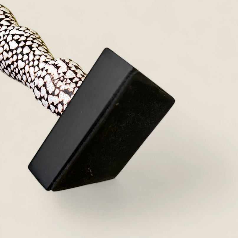 Papua Tiger shell on stand(7 shell)